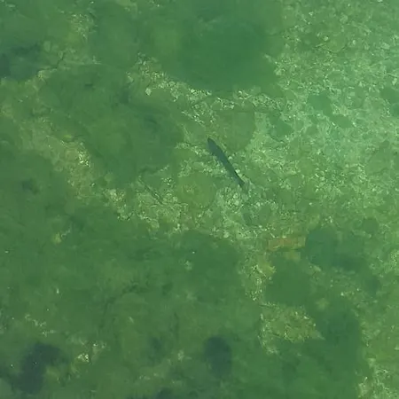 Ferienhaus Vacation Sajra